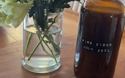 Fire Cider – natural defence for colds and flus